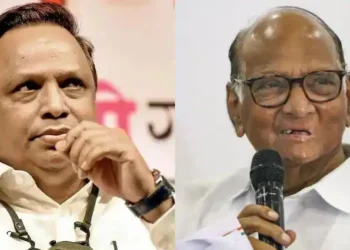 पवार साहेबांनाही वाटत होतं त्यांचे 4 पेक्षा जास्त खासदार येणार नाहीत, हा निकाल सुखावह नाही: आशिष शेलार