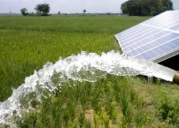 शेतकऱ्यांचं वीज बिल माफ होणार, आजच्या अर्थसंकल्पात शेतकऱ्यांसाठी कोणकोणत्या घोषणा?