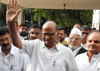 नंबर गेम! शरद पवारांचे मोठं भाकीत, महायुतीचे टेन्शन वाढले?