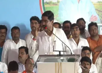 ‘तुम्ही जे पेरलं ते उगवलं’ बजरंग सोनावणेंचा पंकजा मुंडेंवर जोरदार निशाणा